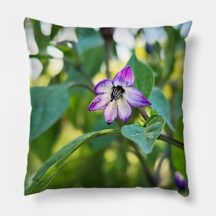 Pepper Bloom Pillow