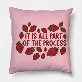 It's All Part of the Process by Courtney Graben Pillow