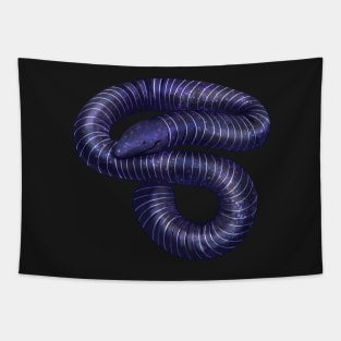 Cozy Caecilian Tapestry