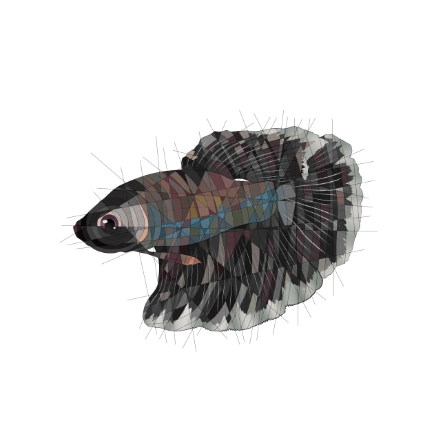 Heimdall the Betta by Blacklightco