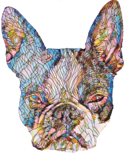 Boston Terrier Face Magnet