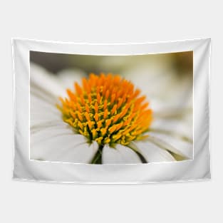 White Coneflower Macro Tapestry