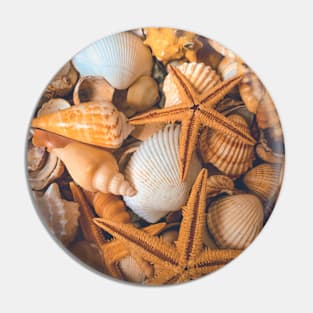 Seashell Caribbean Sea Starfish Travel Vacation Relax Pin