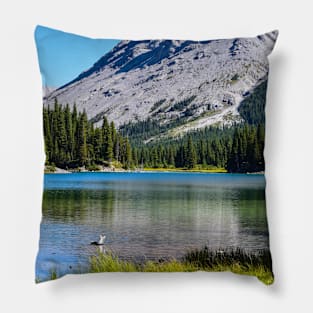 Elbow Lake in the Rockies. Pillow