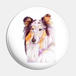 Collie - blue merle Pin