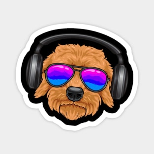 A cool Goldendoodle with glasses, headphones, music. Magnet