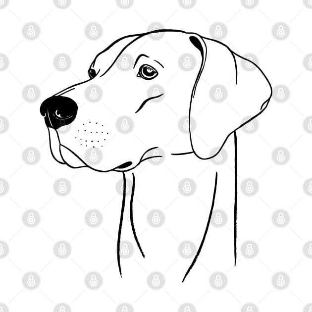 Weimaraner (Black and White) by illucalliart