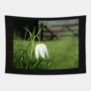 Fritillaria Meleagris Alba Tapestry