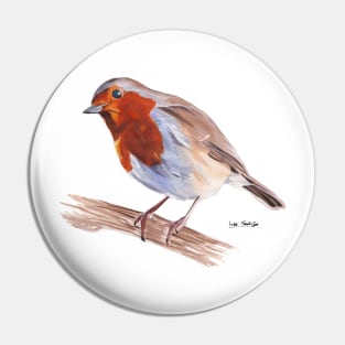 Robin Pin