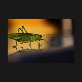 grasshopper, macro T-Shirt