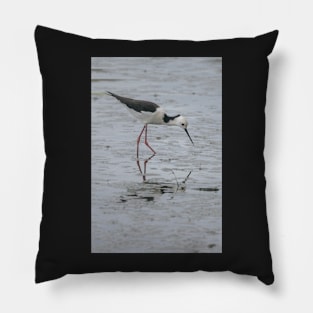 Black-winged Stilt 01 Pillow