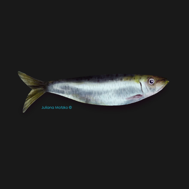 Disover Sardine Fish - Sardine - T-Shirt