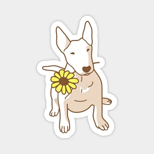 Bull Terrier and Sunflower Magnet