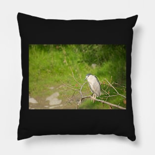 Hungry Eyes Pillow