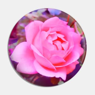 Pink Rose Fantasy Pin