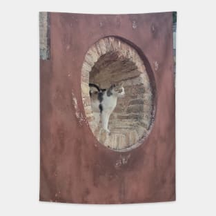 Meditative Corfu Cat: Window View Photography Tapestry