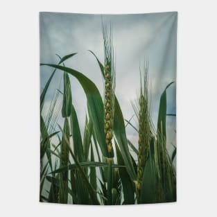 wheat crop Tapestry