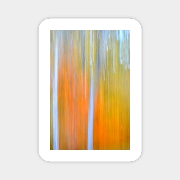 Autumn Abstract Magnet by LaurieMinor