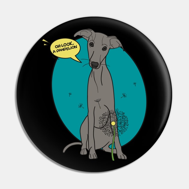 Funny greyhound design; Grey Italian greyhound with a dandelion flower Pin by This Iggy Life