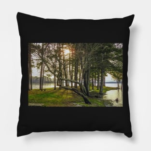 Leaning Tree Pillow