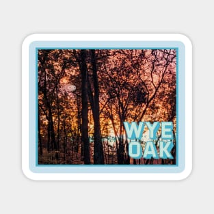 Wye Oak Magnet