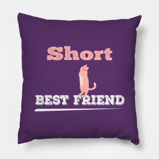 short best freind gift,Best Friend Gift,Best Friend Birthday Gift, Friendship Gift Pillow