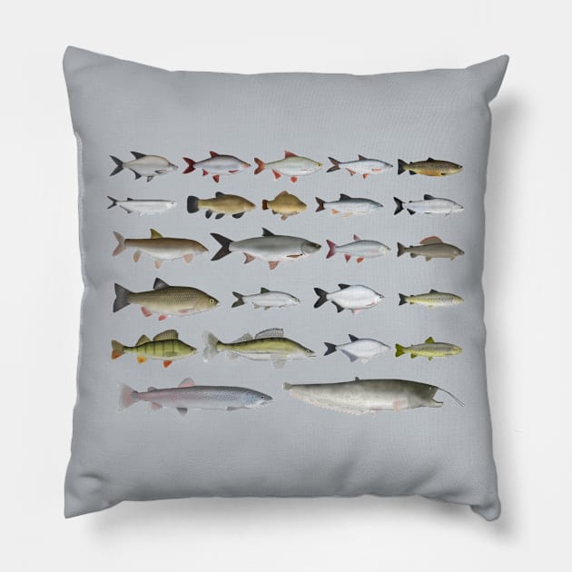 European Freshwater Fish Group Pillow by FishFolkArt