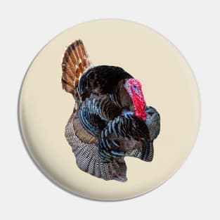 Strutting Turkey Pin