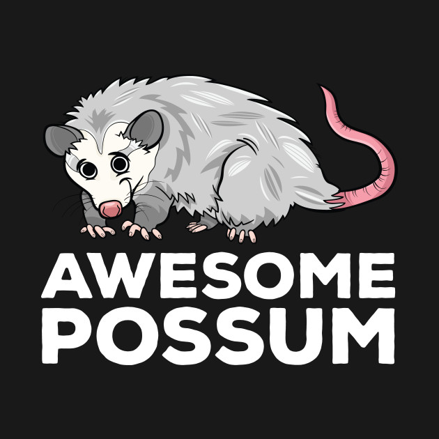 Discover Awesome Possum Funny Pun - Awesome Possum - T-Shirt