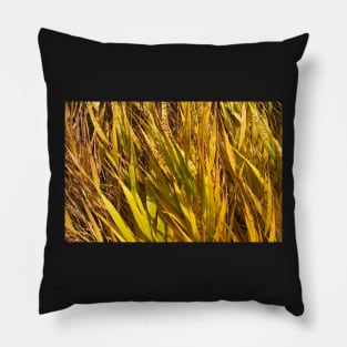 Fertile Fall Field of Possibility Pillow