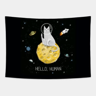 Cats in space. Tapestry