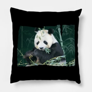 Panda With Bamboo Pillow