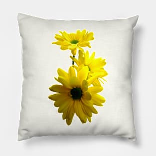 Three Bright Yellow Daisies Pillow