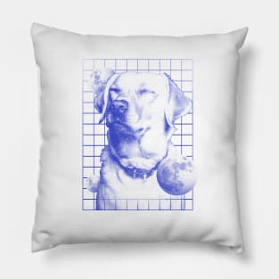 Dog Universe Pillow