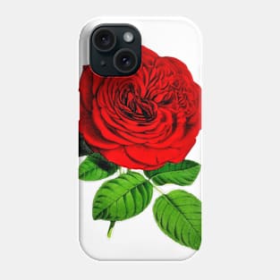 Rose Phone Case