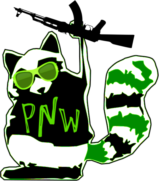 PNW Rebel Raccoon AK47 Kids T-Shirt by TheDaintyTaurus