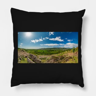 Biosffer Dyfi Pillow