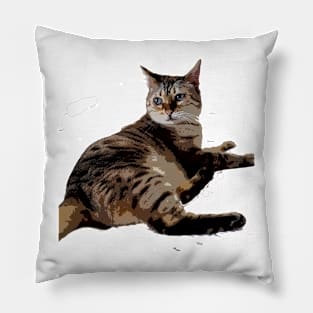 Rhyl Maggie Pillow