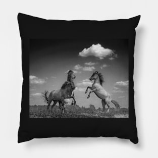 Wild Horses (2 of 2) Pillow