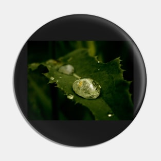 Drop of Water on a Leaf - macro photography Pin