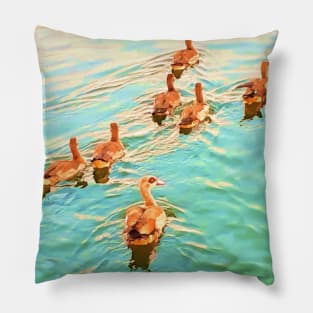 Ducks in the water,  duck, ducks,. swan, swans, sea, beach, summer, blue, bird, birds, swan, swans, spring, Pillow