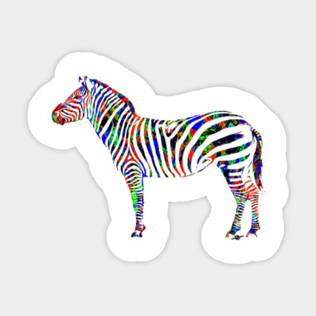 Standing Zebras Animal Africa Ecosystem Environment Conservation