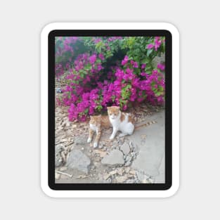 Cats sitting in flowers at street Magnet