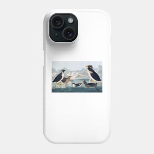 Group of auks and auklets, artwork (C011/2992) Phone Case