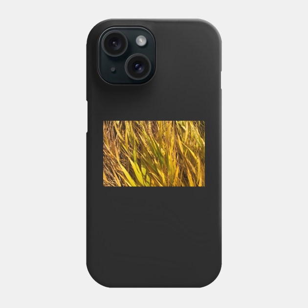 Fertile Fall Field of Possibility Phone Case by Photomersion