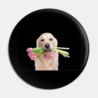 Dachshund puppy dog with spring pink tulip flowers. Pin