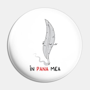 in pana mea Pin