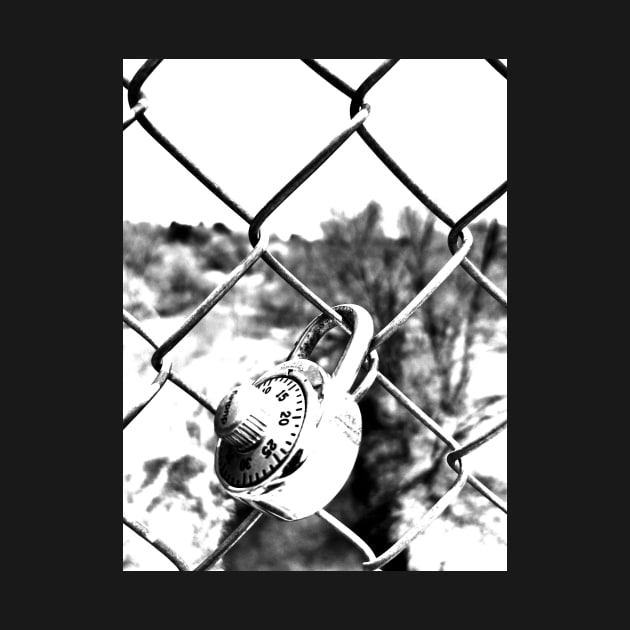 Combo Lovelock on Fence by Graphic Dinosaur