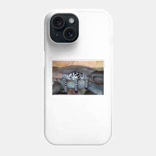 Sweet Lemurs Phone Case