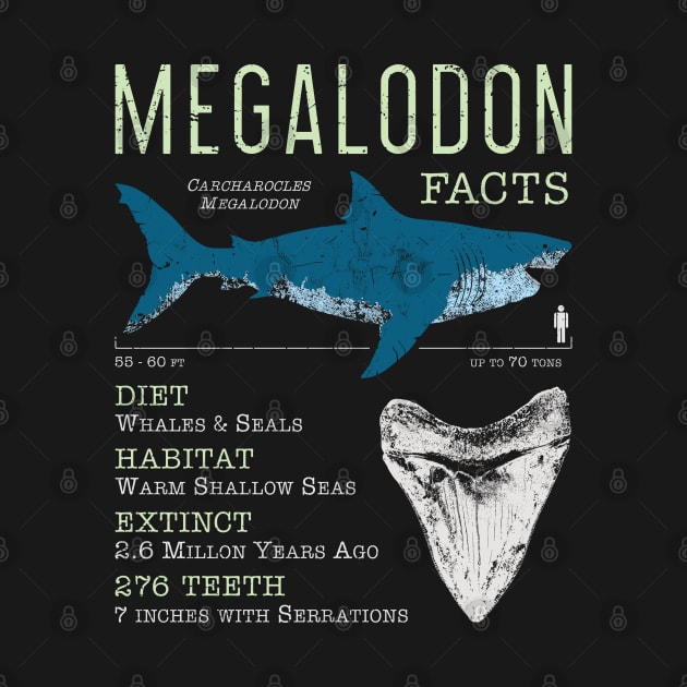 Megalodon Facts by IncognitoMode